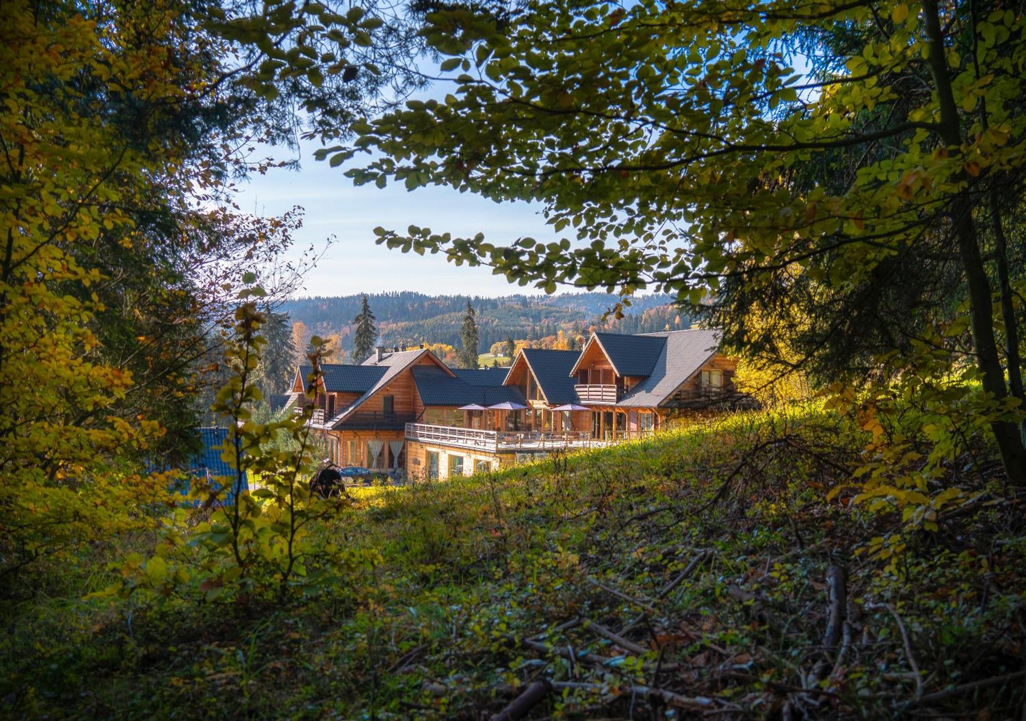 Z Dostepem Do I Restauracji Villa Lapsze Nizne